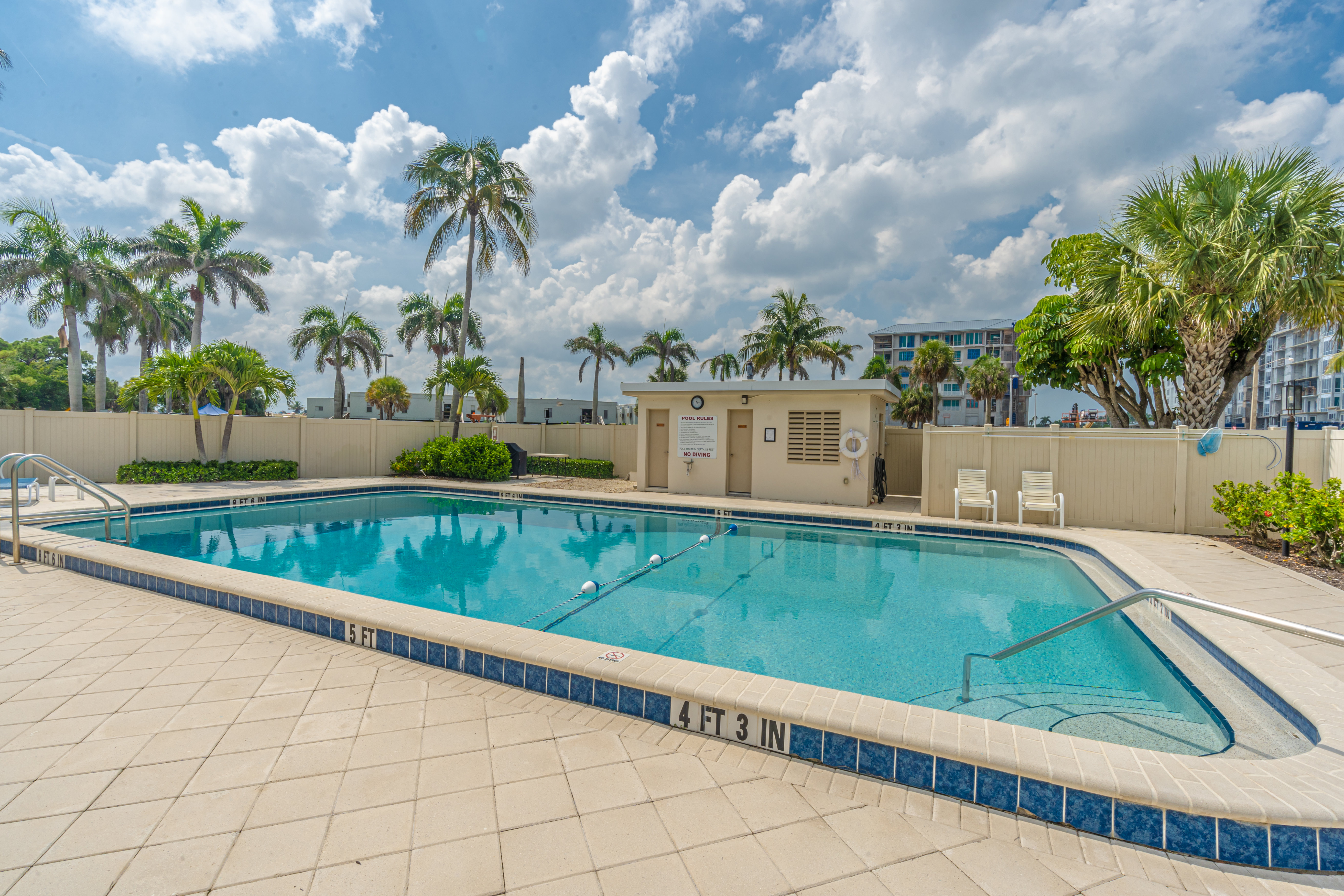 Community pool surrounded by palm trees